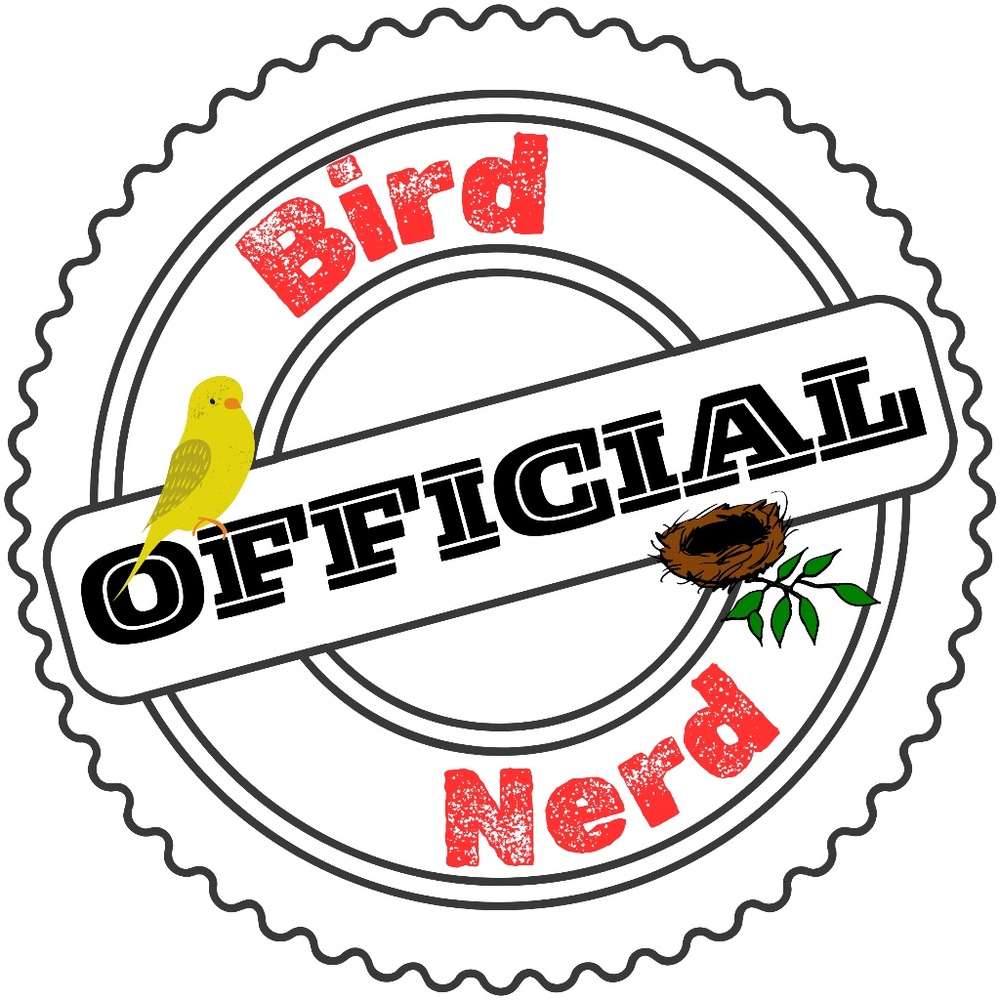 Bird Nerd (Bundle ANY 3 Stickers for $10)